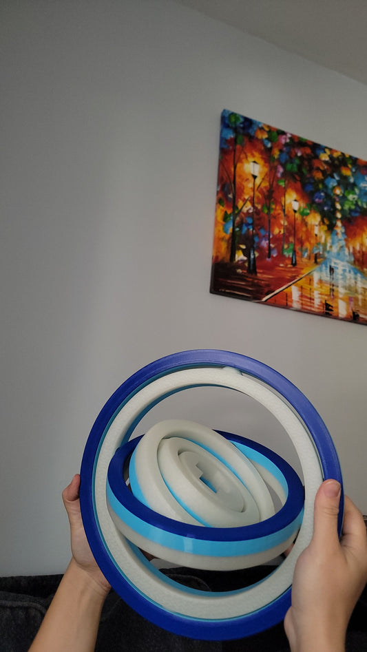 World's Biggest Fidget*